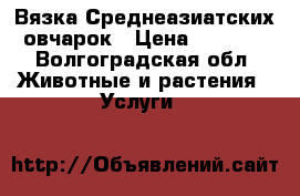 Вязка Среднеазиатских овчарок › Цена ­ 8 000 - Волгоградская обл. Животные и растения » Услуги   
